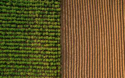 เราเรียนรู้อะไร เมื่อมาตรการพักหนี้เพิ่มกลไกจูงใจให้ชำระหนี้?