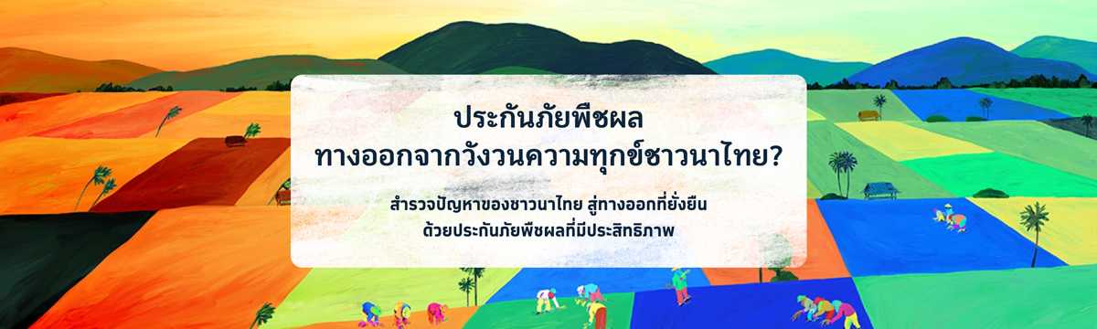 ประกันพืชผล ทางออกจากวังวนความทุกข์ชาวนาไทย?